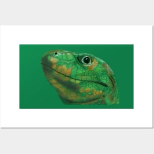 Iguana Posters and Art